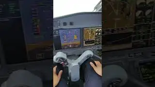 Embraer 195-E2 POV Congonhas