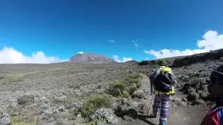Horombo - Kibo, Kilimanjaro Trekking