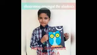 International Owl Awareness Day