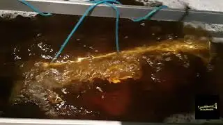 Limpieza  por Ultrasonidos  de trompeta