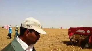 Vigro of Gizatec; the favourite fertilizer in potato fertilization. Emad Abdelgaleel, Daltex