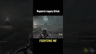 Hogwarts Legacy glitch #hogwartslegacy