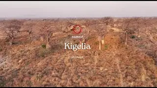 Kigelia, Ruaha | A Luxury Safari Experience in Ruaha National Park, Tanzania