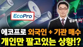 에코프로 주가 외국인 기관 폭풍 매수! 개인만 던지고 있다!? 주가 전략은?