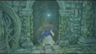 ELDEN RING Getting Visage Shield
