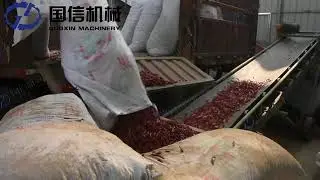 Red Chillies Drying Equipment Manufacturer /Pepper drying machine from Guoxin