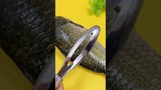 Amazing Fish Cleaning Tool for Kitchen | Fish Scaler✅😎#reels #fish #fishscaler #kitchentools #shorts