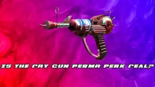 IS THE RAYGUN PERMA PERK REAL?