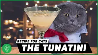 How To Make A 'Tunatini' | The Ultimate DIY Cat Treat