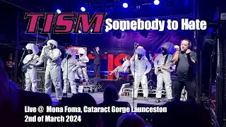 TISM - Somebody to Hate (Live) @ Mona Foma 2nd March 2024