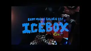 Eazy Mac X Golden BSP   Ice Box Official Video