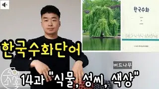 수화배우기 식물, 성씨, 색상