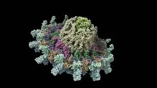 T4SS IcmX Plug Secretion 10 pm/ps Simulation Angled View