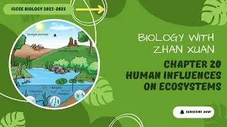 Биология IGCSE - Глава 20 | Влияние человека на экосистемы