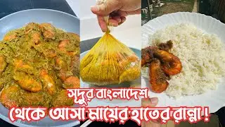 সূদুর বাংলাদেশ থেকে আসা মায়ের হাতের রান্না খাচ্ছি লন্ডনে! আলহামদুলিল্লাহ…