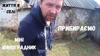 Хата в селі Що робити з виноградом? Прибираємо у дворі