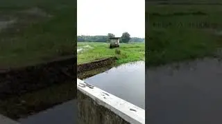 Beautiful Scenery from our Village | Chalakuddy | Chathanchaal