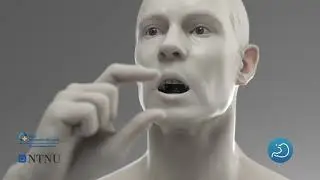 Cut: Pill camera - Automatic Polyp Detection