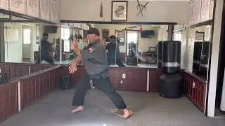 Tracy Kenpo Panther Set (Book Set)