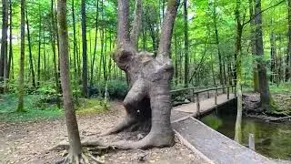 Cataract Falls Trail