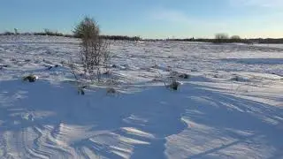Cold but pretty Winter afternoon in Denmark