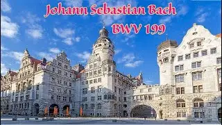 Johann Sebastian Bach - BWV 199 Cantata 'Mein Herze schwimmt im Blut' in C minor