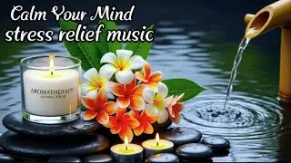 Release Stress and Calm Your Mind🍃Soft, Gentle Sounds for Deep Relaxation and Peaceful Sleep