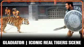 ГЛАДИАТОР | Взгляд за кулисы культовой сцены Real Tigers