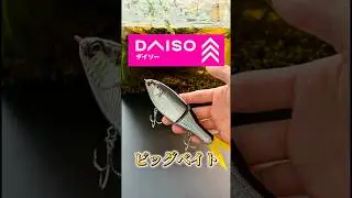 DAISOビッグベイト！？　　　　　　　#バス釣り #釣り #fishing #つりたろう #daiso