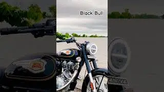BLACK BULL #royalenfield #ytshorts #standard @arabianbullet350