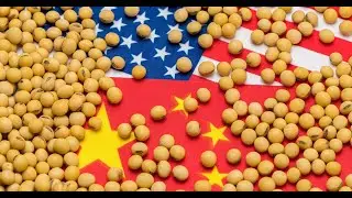 U.S.-China Soybean Trade War: Beijing's Food Security Strategy Unfolds