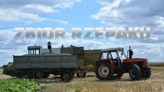 🇵🇱Zbi&oacute;r rzepaku 2022 ㋡ AgroTeamGajMały★ Fortschritt E 516B★ZETOR★ URSUS★