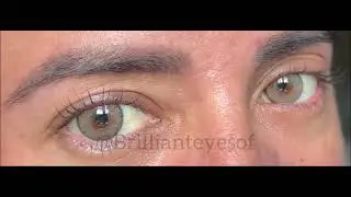 Siesta Black Romance Fawn | BRILLINAT EYES #colorcl