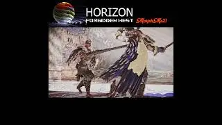 Regalla's refusal to fight Aloy👉 twice (HFW)