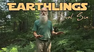 Wilderness School Shaman: Tamarack Song