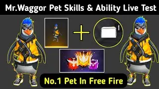 Mr Waggor Ability and Skills Test | Mr Waggor Pet Full Details In Free Fire |Gloo Wall Pet Free Fire