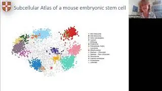 The Dynamic Spatial Organisation of the Cell | Prof. Kathryn Lilley | SCP2021