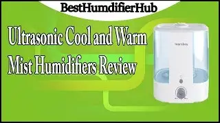 Ultrasonic Cool and Warm Mist Humidifiers Review