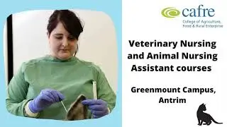 CAFRE, Veterinary Nursing and Animal Nursing Assistant courses at Greenmount Campus, Antrim