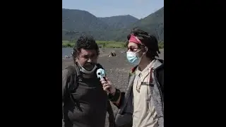 OE PUC&Oacute;N
