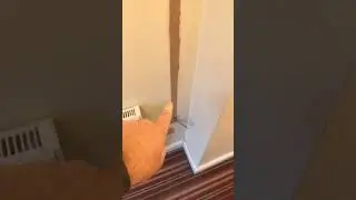 How to fill chases🔥🔥🔥
