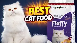 Beat cat feed feed for cat how we train our cat