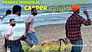 ലാലേട്ടന്റെ കാസ്പർ ബീച്ചിൽ ലീഷ് ഇല്ലാതെ🐾🐕&zwj;🦺#monomark_k9 #dogtraining