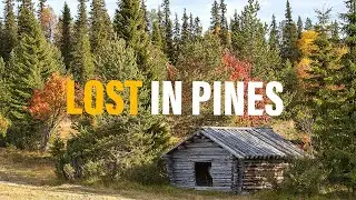 Peaceful Walk Through Finland&rsquo;s Forests
