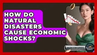 How Do Natural Disasters Cause Economic Shocks? - Macroecon Experts