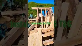 2x6 T&G roof sheathing #construction #framing #shortvideo
