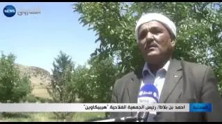 السيد بن بلاط يطالب بدعم اكبر لفلاحي منطقة الاوراس