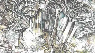 Animal Eyes - Ponds