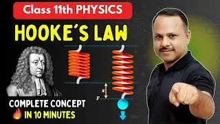 Hooke's Law | Strain | Stress and its Types | Elasticity | 11th #physics #neet #cbse