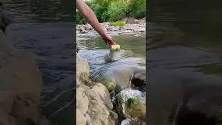 Bushcraft survival skills💪💯#outdoors#camping#forest #experiment #viral #bushcraf #bushcraftskills